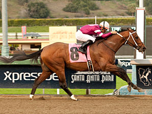 Tapizar Makes San Fernando Look Easy Tapizar Makes San Fernando Look Easy