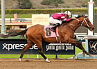 Tapizar Makes San Fernando Look Easy Tapizar Makes San Fernando Look Easy