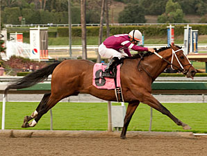 Tapizar Will Be Hard to Catch in Strub Stakes Tapizar Will Be Hard to Catch in Strub Stakes