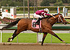 Tapizar Will Be Hard to Catch in Strub Stakes