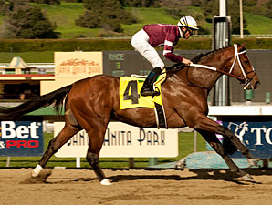 Tapizar Serves Notice in Sham Romp Tapizar Serves Notice in Sham Romp