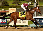 Tapizar Serves Notice in Sham Romp