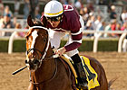 Tapizar Looks Like a Star in Robert B. Lewis Tapizar Looks Like a Star in Robert B. Lewis