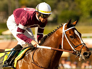 Tapizar, Prayer for Relief Clash in 'Fernando Tapizar, Prayer for Relief Clash in 'Fernando
