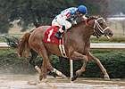 Full Field Entered in Ellis Park's Gardenia Full Field Entered in Ellis Park's Gardenia