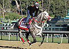 Taptowne Scratched Out of Dirt Mile Taptowne Scratched Out of Dirt Mile