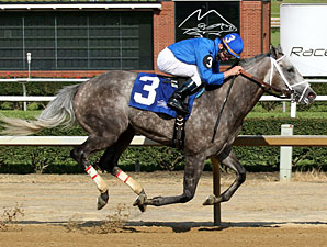 Taptowne Breaks Through in Governor's Stakes Taptowne Breaks Through in Governor's Stakes