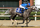 Taptowne Breaks Through in Governor's Stakes Taptowne Breaks Through in Governor's Stakes