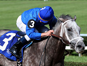 Taptowne Looks for Breakthrough in Texas Mile Taptowne Looks for Breakthrough in Texas Mile