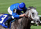 Taptowne Looks for Breakthrough in Texas Mile Taptowne Looks for Breakthrough in Texas Mile