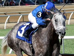 Taptowne Draws Rail in Well-Matched Razorback Taptowne Draws Rail in Well-Matched Razorback