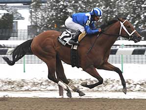Ky. Derby Trail: The Challenge is On Ky. Derby Trail: The Challenge is On