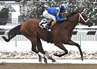 Ky. Derby Trail: The Challenge is On