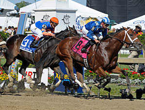 Taqarub Pulls Off Md. Sprint Shocker Taqarub Pulls Off Md. Sprint Shocker