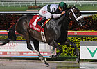 Gallant Bloom Attracts Tar Heel Mom, 'Pistol