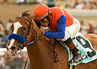 Graded Winner Tasha's Miracle Retired Graded Winner Tasha's Miracle Retired