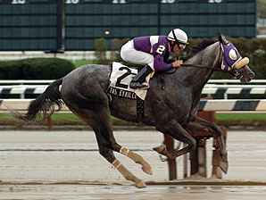 Tasteyville Will Miss Cigar Mile Tasteyville Will Miss Cigar Mile