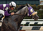 Tasteyville Will Miss Cigar Mile Tasteyville Will Miss Cigar Mile