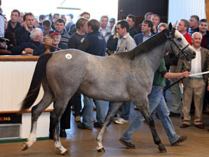 Mama Mia! ABBA Star Helps Tatts Sale Mama Mia! ABBA Star Helps Tatts Sale