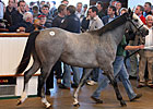 Mama Mia! ABBA Star Helps Tatts Sale Mama Mia! ABBA Star Helps Tatts Sale