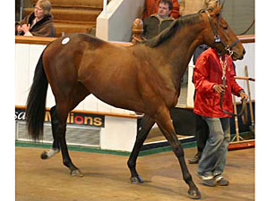 Business Booms at Craven Sale Business Booms at Craven Sale