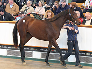 Galileo Filly Smashes World Record Price Galileo Filly Smashes World Record Price