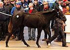 Increases on Day 1 of Tattersalls Foal Sale Increases on Day 1 of Tattersalls Foal Sale