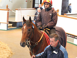Formosina Sets the Pace at Tattersalls Formosina Sets the Pace at Tattersalls