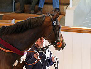 Measuring Time Tops Tattersalls Session Measuring Time Tops Tattersalls Session