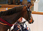 Measuring Time Tops Tattersalls Session Measuring Time Tops Tattersalls Session