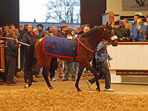 European Mark Smashed Again at Tattersalls European Mark Smashed Again at Tattersalls