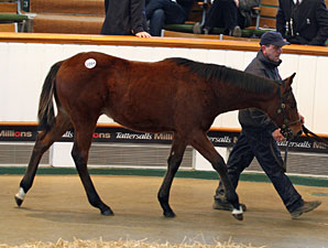 Tattersalls Foal Sale Ends Strong Tattersalls Foal Sale Ends Strong