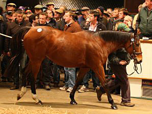 Tattersalls 2nd Day Remains Strong Tattersalls 2nd Day Remains Strong
