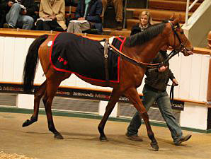 Rises Across The Board At Tattersalls Rises Across The Board At Tattersalls