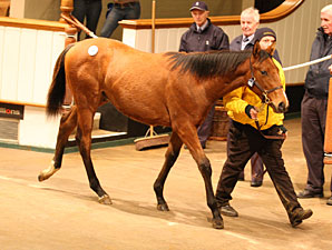 Strong Opening Day of Tattersalls Foal Sale Strong Opening Day of Tattersalls Foal Sale