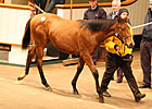 Strong Opening Day of Tattersalls Foal Sale Strong Opening Day of Tattersalls Foal Sale