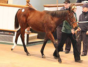 Marks Set as Tattersalls Foal Sale Concludes Marks Set as Tattersalls Foal Sale Concludes