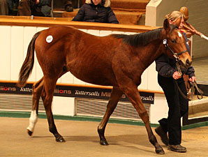 Tattersalls Foal Sale Begins on Upward Note Tattersalls Foal Sale Begins on Upward Note