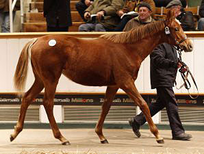 European Sales Record Eclipsed at Tattersalls European Sales Record Eclipsed at Tattersalls
