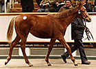 European Sales Record Eclipsed at Tattersalls European Sales Record Eclipsed at Tattersalls