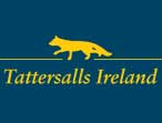 Numbers Down at Tattersalls Ireland Opening Session Numbers Down at Tattersalls Ireland Opening Session