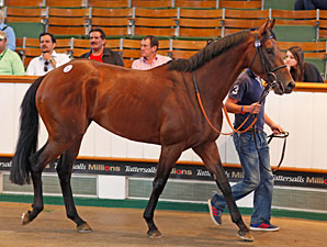 Business As Usual Shatters Tatts July Record Business As Usual Shatters Tatts July Record