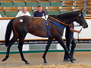 Gross Rises at Tattersalls July Sale Gross Rises at Tattersalls July Sale