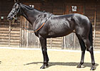 Double-Digit Increases for Tatts July Day One Double-Digit Increases for Tatts July Day One