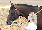 Tattersalls July Sale Off to Strong Start Tattersalls July Sale Off to Strong Start