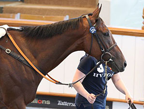 Qatari Interests Boost Day 2 at Tattersalls Qatari Interests Boost Day 2 at Tattersalls