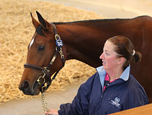 Dutch Art Filly Leads the Way at Tattersalls Dutch Art Filly Leads the Way at Tattersalls
