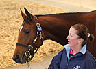 Dutch Art Filly Leads the Way at Tattersalls Dutch Art Filly Leads the Way at Tattersalls