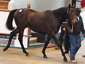 Gross Increases in Tattersalls' Book Two Gross Increases in Tattersalls' Book Two