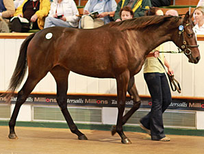 Tattersalls Book One Bullish at the Start Tattersalls Book One Bullish at the Start